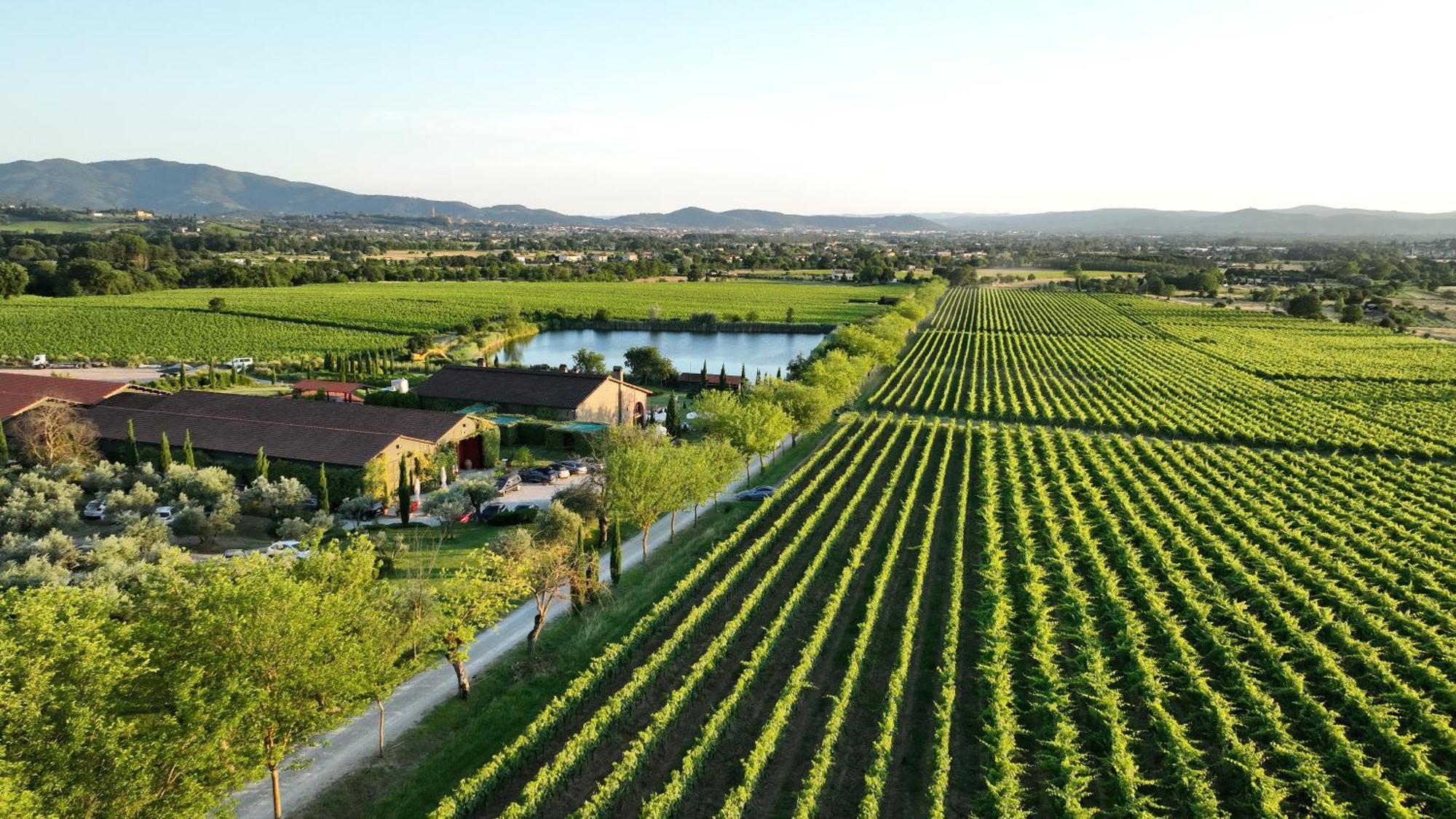Il Palazzo - Agriturismo, Winery Ареццо Экстерьер фото