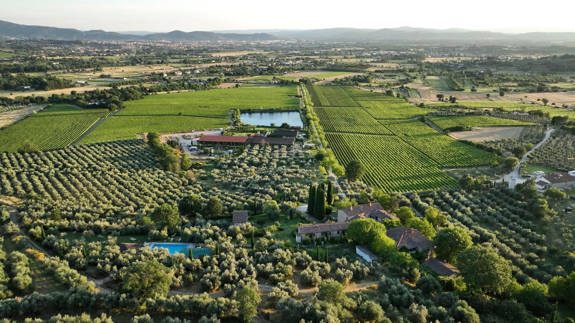Il Palazzo - Agriturismo, Winery Ареццо Экстерьер фото