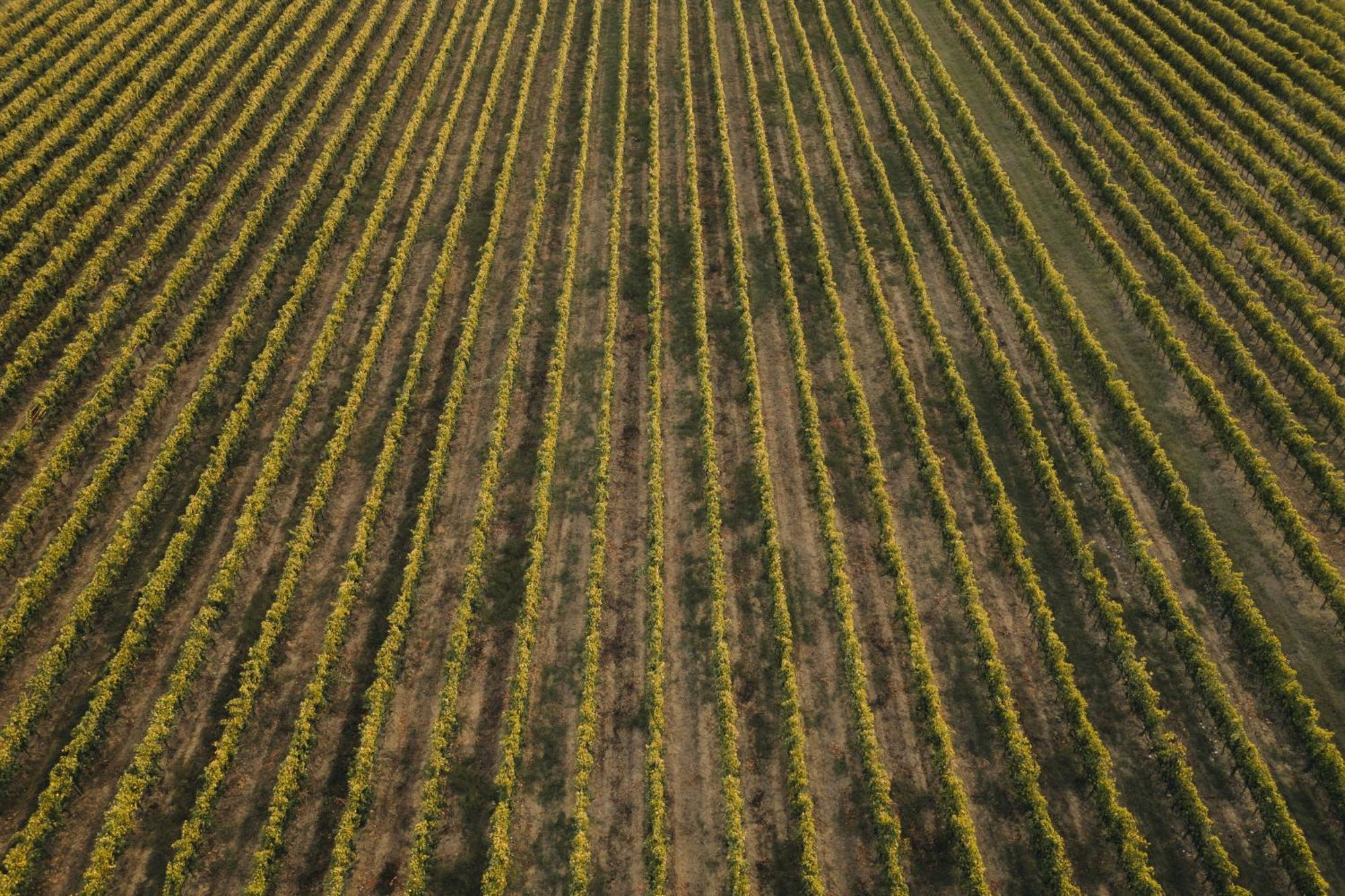 Il Palazzo - Agriturismo, Winery Ареццо Экстерьер фото